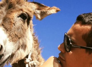 Ένα παγωτό με γάλα γαϊδούρας