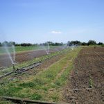 Θεσσαλονίκη: Στα 2,8 δισ. ευρώ τα συνολικά κονδύλια για τον αγροτικό κόσμο