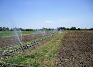 Θεσσαλονίκη: Στα 2,8 δισ. ευρώ τα συνολικά κονδύλια για τον αγροτικό κόσμο