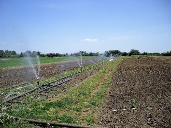 Θεσσαλονίκη: Στα 2,8 δισ. ευρώ τα συνολικά κονδύλια για τον αγροτικό κόσμο