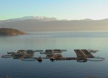 Γαλαξίδι: Διαγραφή των μετοχών από το ΧΑ Γαλαξίδι: Διαγραφή των μετοχών από το ΧΑ