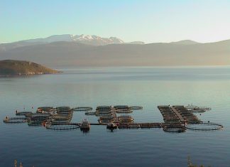 Γαλαξίδι: Διαγραφή των μετοχών από το ΧΑ