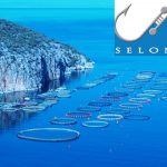 ΣΕΛΟΝΤΑ: Ενίσχυση εξωστρέφειας – Αύξηση του κύκλου εργασιών