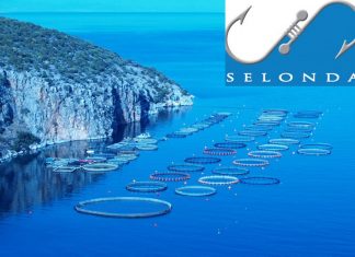 ΣΕΛΟΝΤΑ: Ενίσχυση εξωστρέφειας – Αύξηση του κύκλου εργασιών