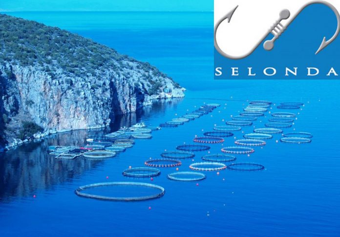 ΣΕΛΟΝΤΑ: Ενίσχυση εξωστρέφειας – Αύξηση του κύκλου εργασιών