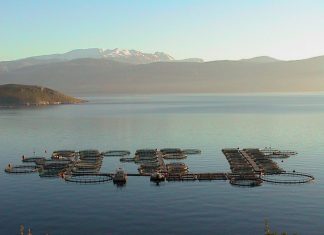 Γαλαξίδι: Αποτελέσματα φορολογικού ελέγχου
