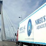 ΝΗΡΕΥΣ: Ολοκλήρωση ΑΜΚ της NIREUS GMBH ΝΗΡΕΥΣ: Ολοκλήρωση ΑΜΚ της NIREUS GMBH