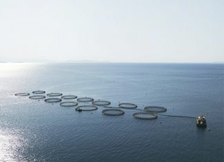 Ο Όμιλος Ανδρομέδα διεκδικεί τις εταιρείες Νηρέα και Σελόντα