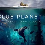 Πως η νέα παραγωγή του BBC, Blue Planet II «έριξε» το internet στην Κίνα