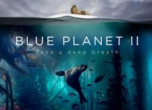 H νέα παραγωγή του BBC, Blue Planet II «έριξε» το internet στην Κίνα Πως η νέα παραγωγή του BBC, Blue Planet II «έριξε» το internet στην Κίνα