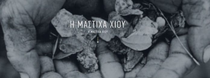 Mediterra ΑΕ: Τριετές επενδυτικό σχέδιο