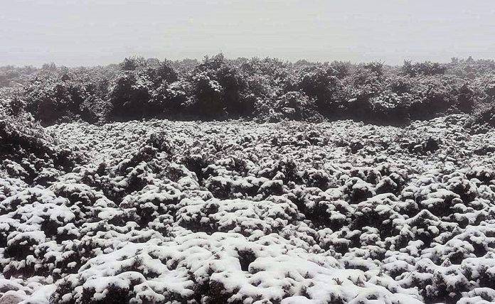 Αποκαταστάθηκε η κυκλοφορία στην Πάρνηθα