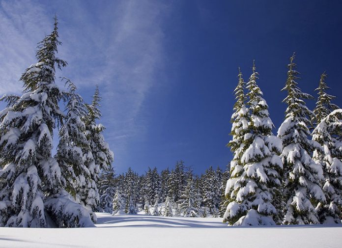 Πόλος έλξης χιλιάδων επισκεπτών οι χειμερινοί προορισμοί στην Πελοπόννησο