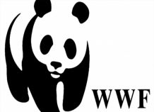 WWF: «Πράσινο» πακέτο ανάκαμψης για την ελληνική οικονομία (pdf)