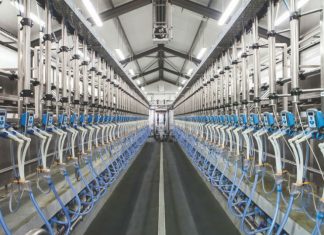 Milkplan: Νέα ρομποτική φάρμα στην Ελλάδα