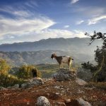 VAKANTIEBEURS 2018: Θετικά μηνύματα για τον τουρισμό της Κρήτης Θετικά μηνύματα για τον τουρισμό της Κρήτης