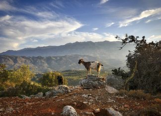 Θετικά μηνύματα για τον τουρισμό της Κρήτης
