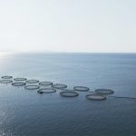 ΣΕΛΟΝΤΑ: Αλλαγές Διευθυντικών Στελεχών