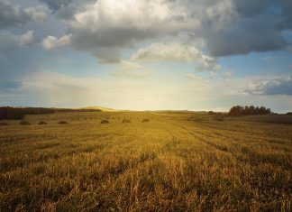 Από σήμερα οι αιτήσεις για ένταξη στο Πρόγραμμα Νέων Αγροτών