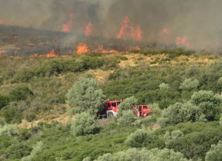 Εκατόν τριάντα αγροτοδασικές πυρκαγιές το τελευταίο 24ωρο