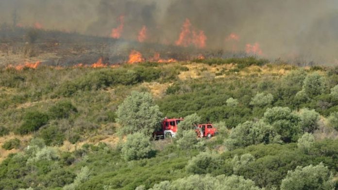 Εκατόν τριάντα αγροτοδασικές πυρκαγιές το τελευταίο 24ωρο