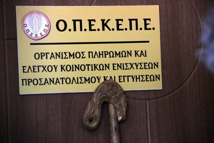 Κατάληψη στα γραφεία του ΟΠΕΚΕΠΕ