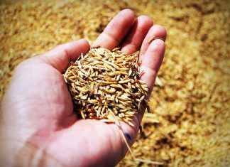 Αγροτικά Χρέη: Έρχεται η ρύθμιση των 120 δόσεων με «κούρεμα» έως 60%