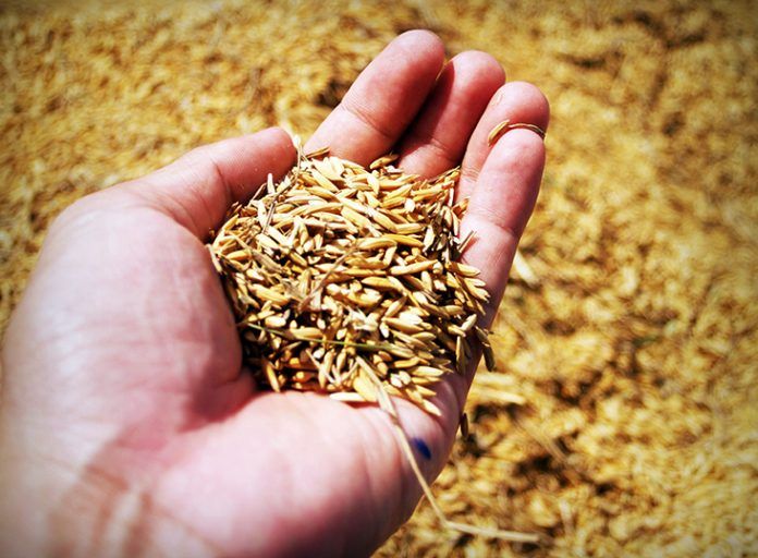 Αγροτικά Χρέη: Έρχεται η ρύθμιση των 120 δόσεων με «κούρεμα» έως 60%