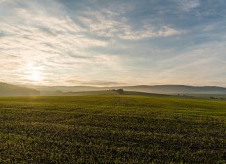 Παράταση για την ειδική ασφαλιστική εισφορά υπέρ ΕΛΓΑ