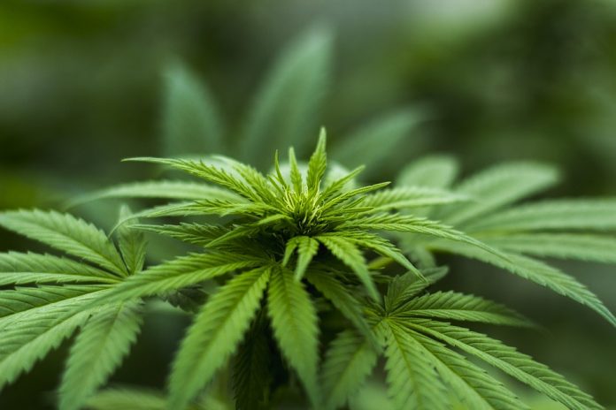 Ελλάδα: Μείωση των χρηστών ναρκωτικών στην περίοδο της κρίσης