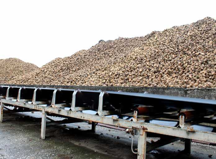 Στους 1.200 ανέρχονται οι τευτλοπαραγωγοί που εξοφλήθηκαν για το 2017