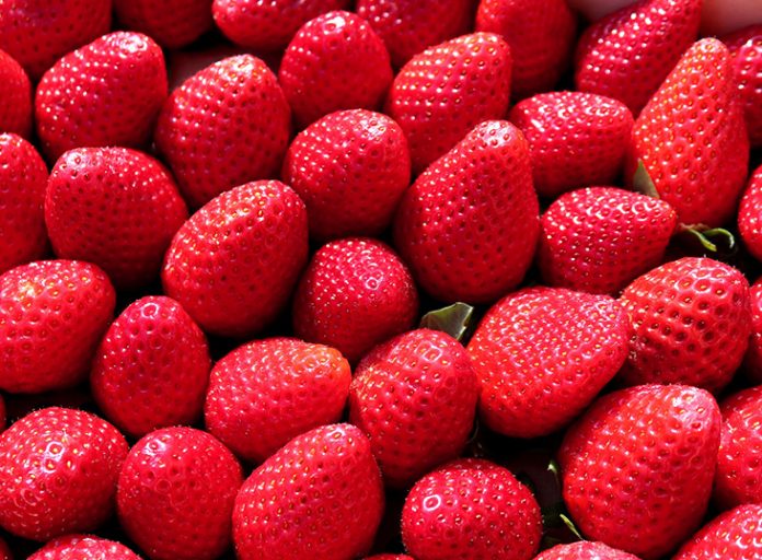 Δέσμευση 1,5 τόνου φράουλας σε επιχείρηση του Πειραιά