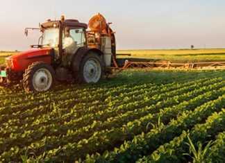 Πληρώνει ο ΕΛΓΑ - Αποζημιώσεις σε αγρότες, κτηνοτρόφους