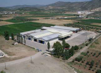 Τα αποτελέσματα του φορολογικού ελέγχου στην ΕΠΙΛΕΚΤΟΣ