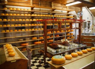 Πρωταγωνίστρια στις προσλήψεις η βιομηχανία τροφίμων