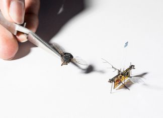 Robofly: Το πρώτο ασύρματο ρομποτικό έντομο έκανε την «παρθενική» του πτήση