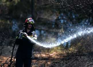Στις φλόγες "τυλίχθηκε" δασική έκταση στη Βοιωτία