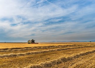 Ποιοι θα λάβουν τα 7 εκατ. ευρώ του ΕΛΓΑ