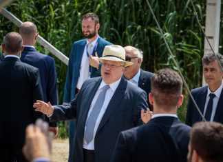 Δώσαμε το όνομα περιμένοντας ανταλλάγματα; Τι λέει ο Κοτζιάς