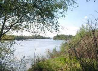 Επιχείρηση απεγκλωβισμού μεταναστών στο Δέλτα του Έβρου