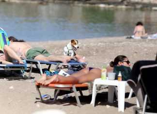 Ερχεται ο πρώτος καύσωνας! Καλλιάνος: Το θερμόμετρο θα χτυπήσει 37αρια