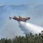 Φωτιές σε δασικές περιοχές της Χαλκιδικής