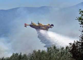 Φωτιές σε δασικές περιοχές της Χαλκιδικής