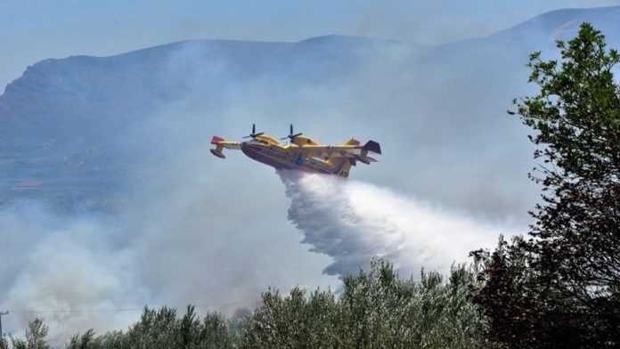 Φωτιές σε δασικές περιοχές της Χαλκιδικής