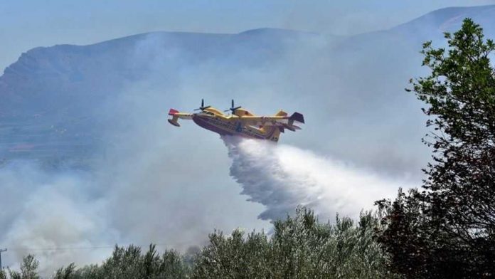 Φωτιές στις παιδικές κατασκηνώσεις έβαζε υπάλληλος του Δήμου Αθηναίων Φωτιές στις παιδικές κατασκηνώσεις έβαζε υπάλληλος του Δήμου Αθηναίων