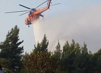 Μάχη με τις φλόγες για 2η μέρα στην Εύβοια