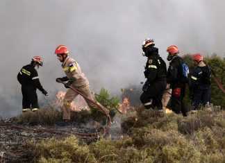 Οινόφυτα: Στις φλόγες "τυλίχθηκε" βιομηχανικό κτήριο