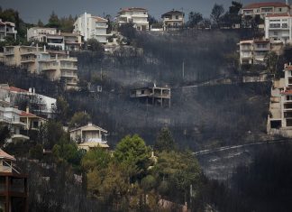 Πόσα στρέμματα κάηκαν;