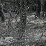 Ανθρωπιστική βοήθεια στις πληγείσες περιοχές αποστέλλει ο δήμος Αθηναίων Ανθρωπιστική βοήθεια στις πληγείσες περιοχές αποστέλλει ο δήμος Αθηναίων