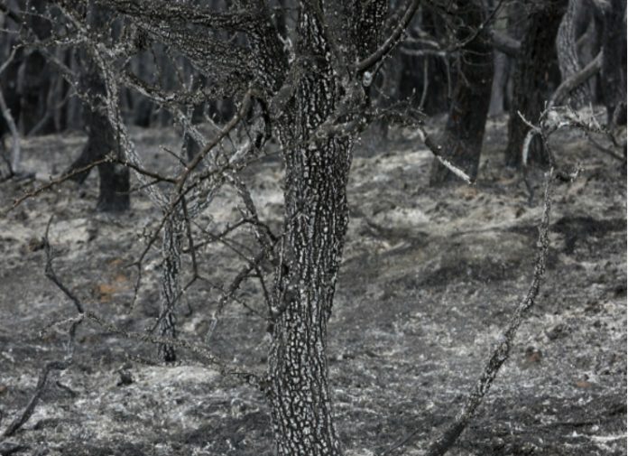 Ανθρωπιστική βοήθεια στις πληγείσες περιοχές αποστέλλει ο δήμος Αθηναίων